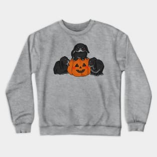 three black bunny with pumpkin spice _ Bunniesmee Crewneck Sweatshirt